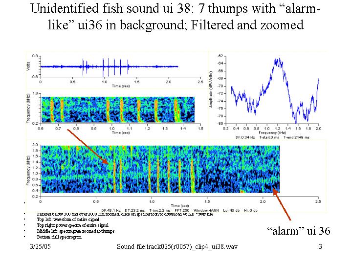 Filtered alarm-like and thumps